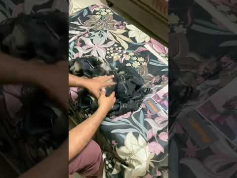 Baroque | SF-4090 | 3 Piece